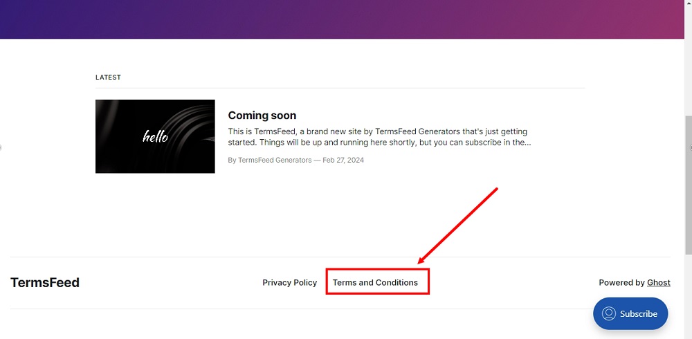 TermsFeed Ghost - Live website with the Terms and Conditions page linked in the secondary navigation
