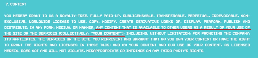 Flappy Bird Terms of Service: Content clause