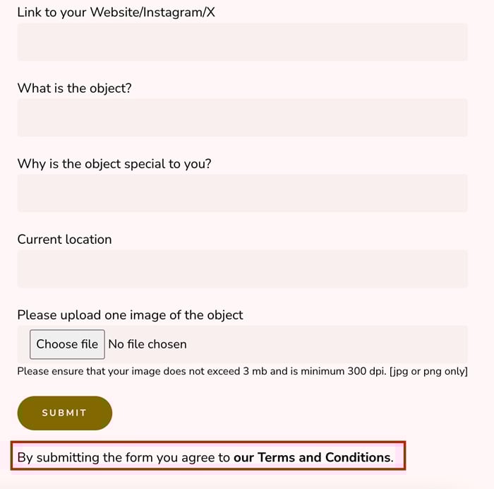 Review submission form with Terms and Conditions highlighted
