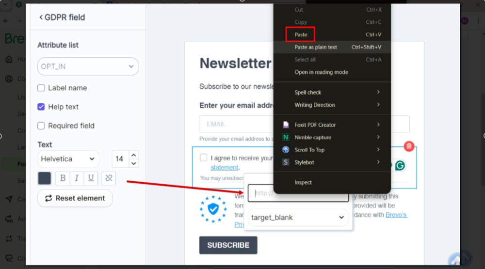 TermsFeed Brevo - Contacts - Forms - Create a new form - Design - The GDPR fields added - Privacy statement words selected and Link icon - paste