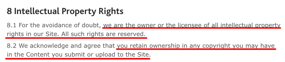 Palgrave Terms of Use IP Rights clause
