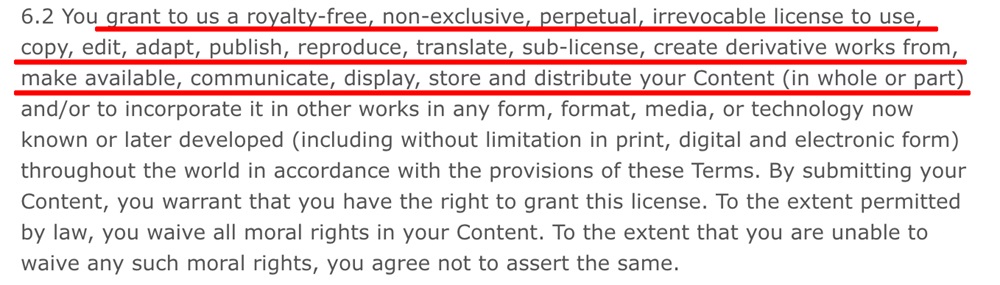 Palgrave Terms of Use UGC clause