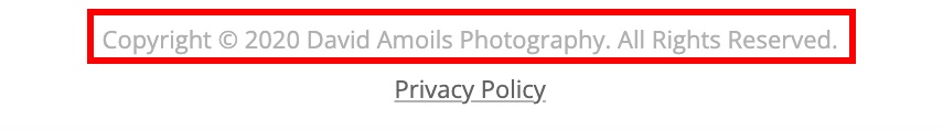 David Amoils Photography website copyright notice