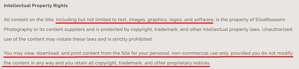 Elise Roseann Photography Terms and Conditions: Intellectual property rights clause