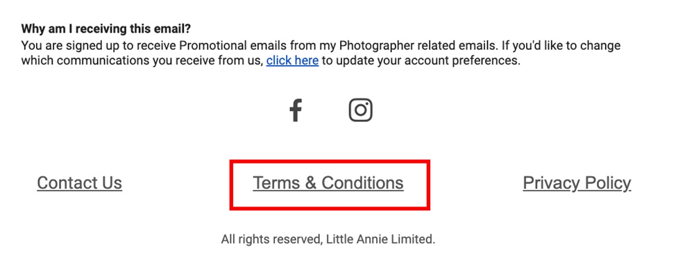 Little Annie Pop-up Portraits email footer with Terms and Conditions link highlighted