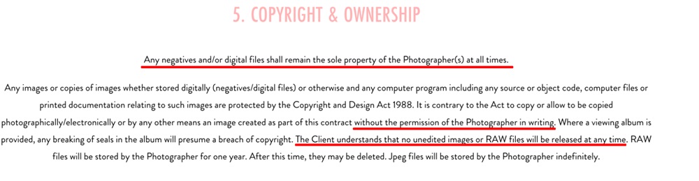 Studio Aash Terms and Conditions: Copyright and ownership clause