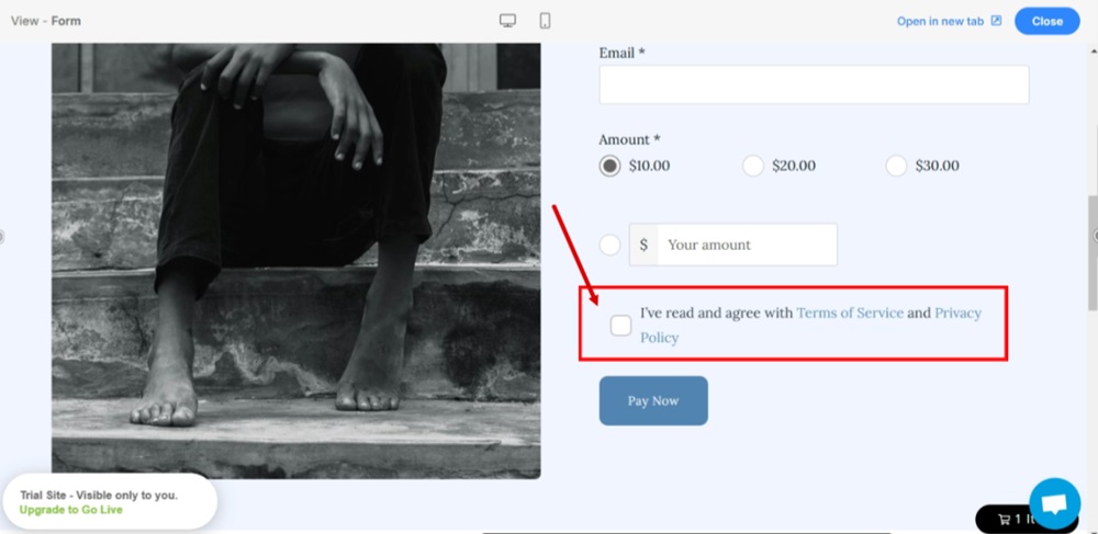 TermsFeed Pixpa - Preview - Payment and Donations Form - The required checkbox to  consent to legal links is added to the form and displayed