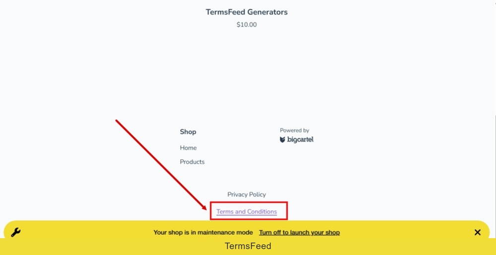 TermsFeed Big Cartel - Preview your shop - Footer - Terms and Conditions - URL displayed