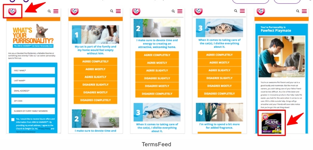 Wyng Arm and Hammer litter quiz for zero-party data