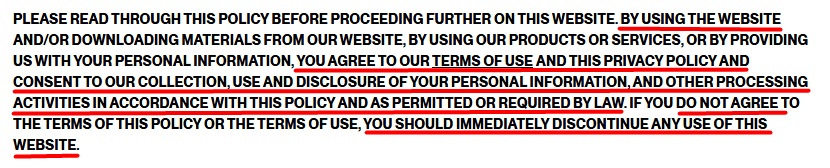 Excerpt from American Apparel privacy policy signifying user browsing as consent