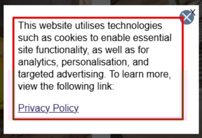 Screenshot of the American Apparel website showcasing their cookie notice