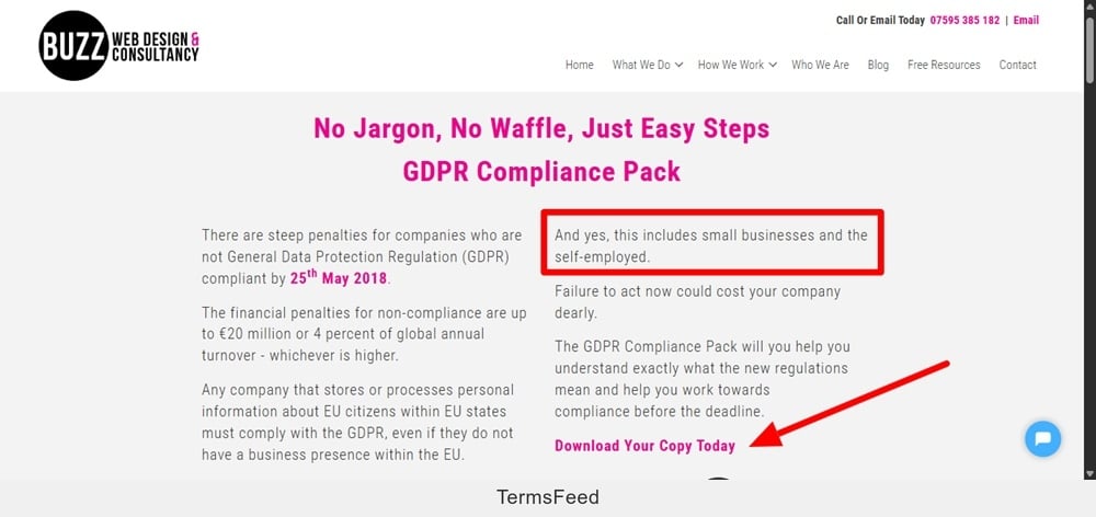 Buzz Web Design - GDPR page beginning section