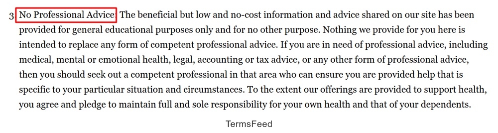 Dana Nicole Designs Terms and Conditions: No Professional Advice clause