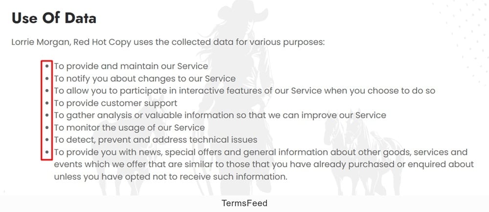 Red Hot Copy Privacy Policy: Use of Data