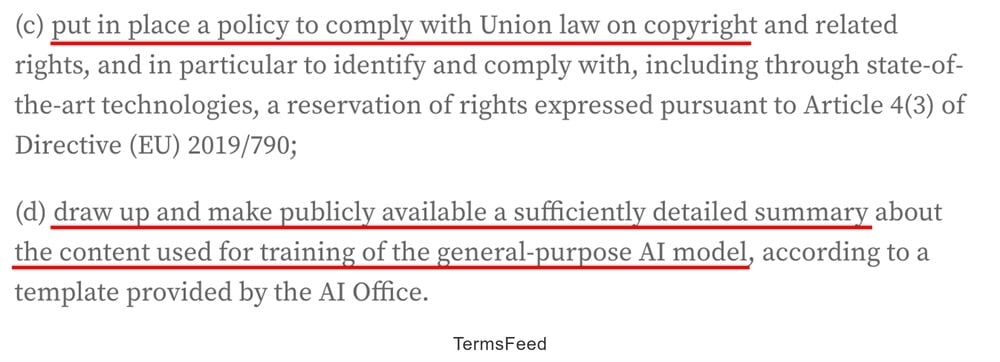 Article 53 provision of EU AI Act