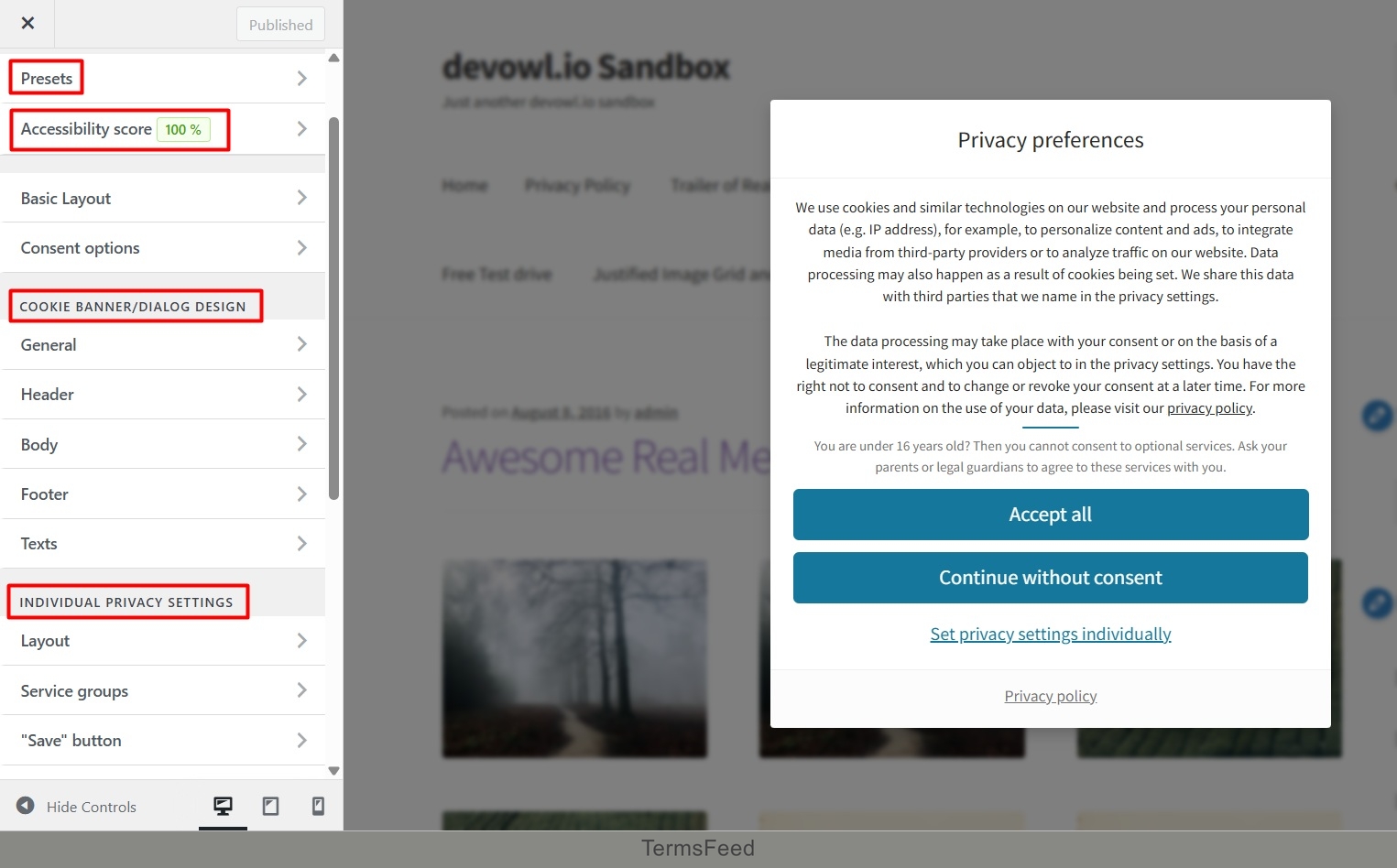 Real Cookie Banner - Dashboard - Customization options - excerpt